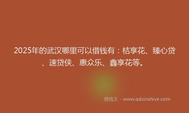 2025年的武汉哪里可以借钱有：桔享花、臻心贷、速贷侠、惠众乐、鑫享花等。