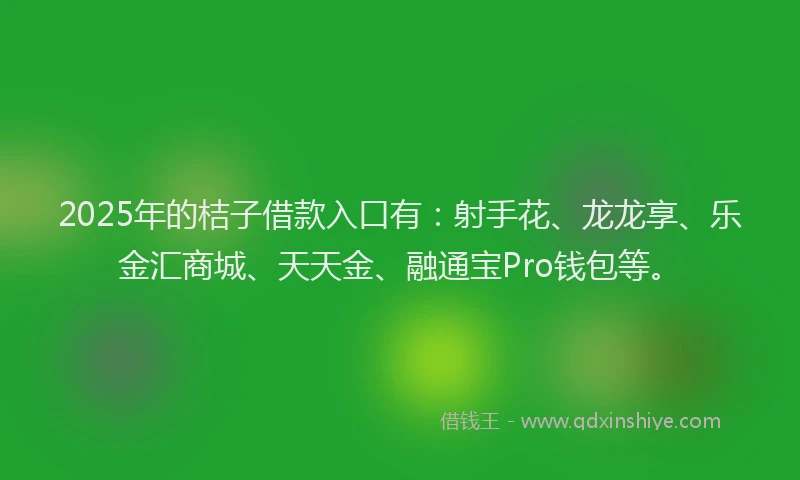 2025年的桔子借款入口有：射手花、龙龙享、乐金汇商城、天天金、融通宝Pro钱包等。
