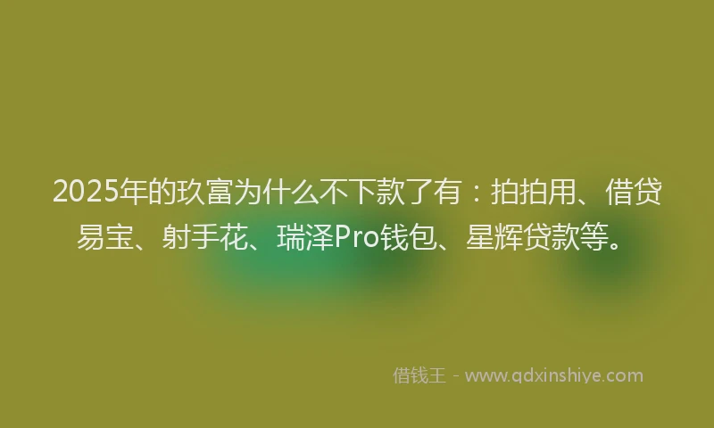 2025年的玖富为什么不下款了有：拍拍用、借贷易宝、射手花、瑞泽Pro钱包、星辉贷款等。