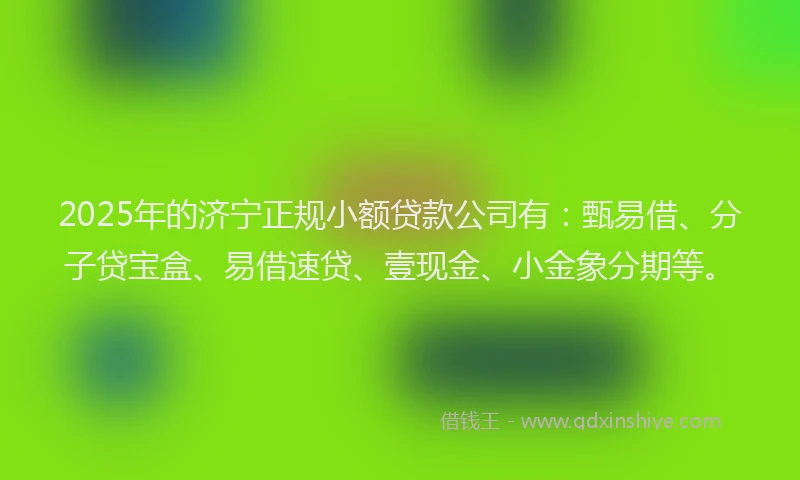 2025年的济宁正规小额贷款公司有：甄易借、分子贷宝盒、易借速贷、壹现金、小金象分期等。
