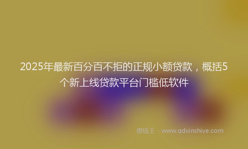 2025年最新百分百不拒的正规小额贷款，概括5个新上线贷款平台门槛低软件