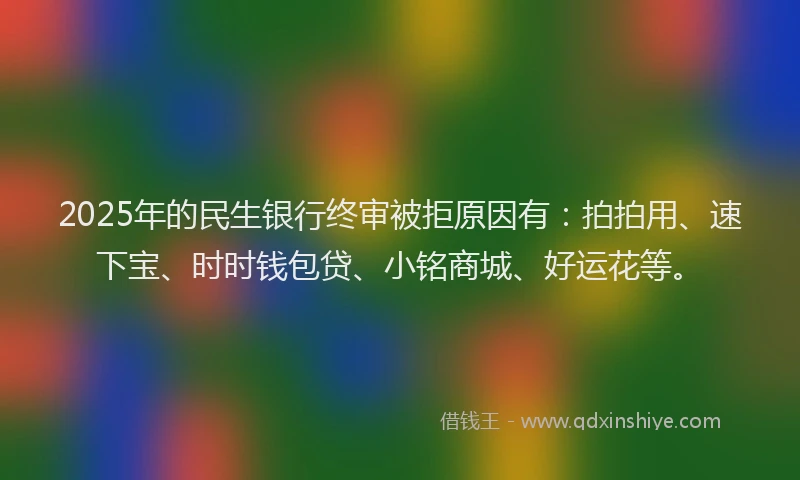 2025年的民生银行终审被拒原因有：拍拍用、速下宝、时时钱包贷、小铭商城、好运花等。