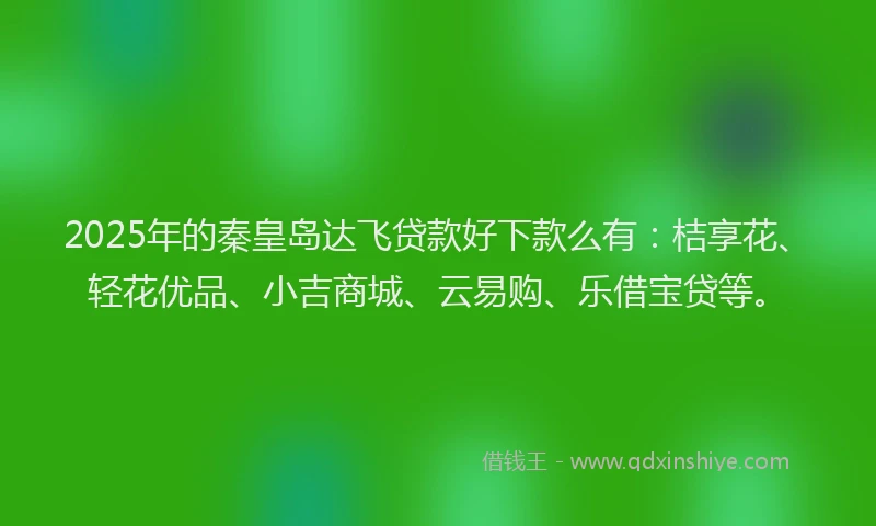 2025年的秦皇岛达飞贷款好下款么有：桔享花、轻花优品、小吉商城、云易购、乐借宝贷等。