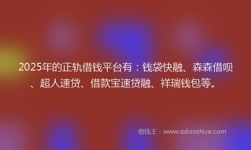 2025年的正轨借钱平台有：钱袋快融、森森借呗、超人速贷、借款宝速贷融、祥瑞钱包等。