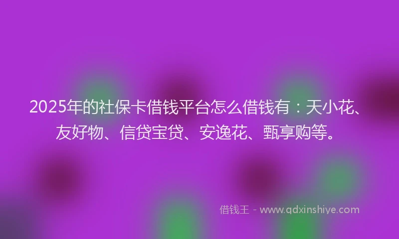 2025年的社保卡借钱平台怎么借钱有：天小花、友好物、信贷宝贷、安逸花、甄享购等。