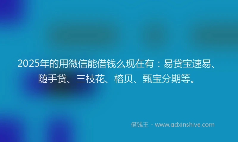 2025年的用微信能借钱么现在有：易贷宝速易、随手贷、三枝花、榕贝、甄宝分期等。