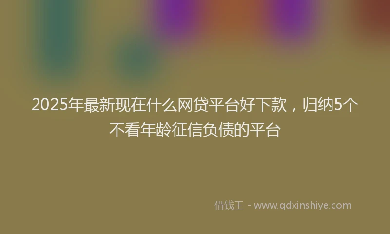 2025年最新现在什么网贷平台好下款，归纳5个不看年龄征信负债的平台