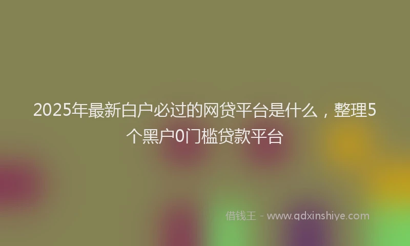2025年最新白户必过的网贷平台是什么，整理5个黑户0门槛贷款平台