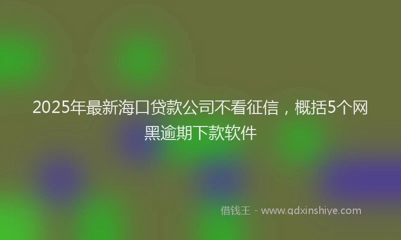 2025年最新海口贷款公司不看征信，概括5个网黑逾期下款软件