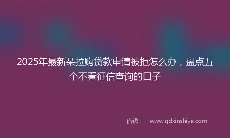 2025年最新朵拉购贷款申请被拒怎么办，盘点五个不看征信查询的口子