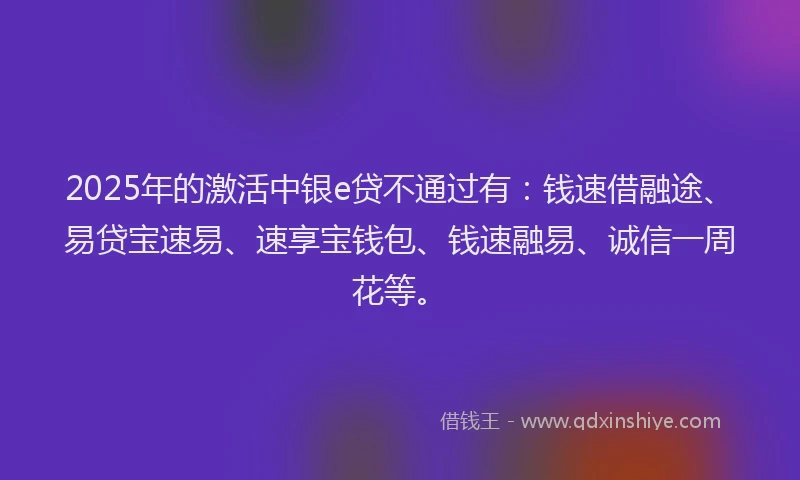 2025年的激活中银e贷不通过有：钱速借融途、易贷宝速易、速享宝钱包、钱速融易、诚信一周花等。