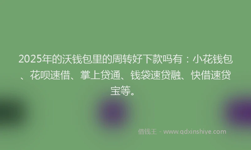 2025年的沃钱包里的周转好下款吗有：小花钱包、花呗速借、掌上贷通、钱袋速贷融、快借速贷宝等。