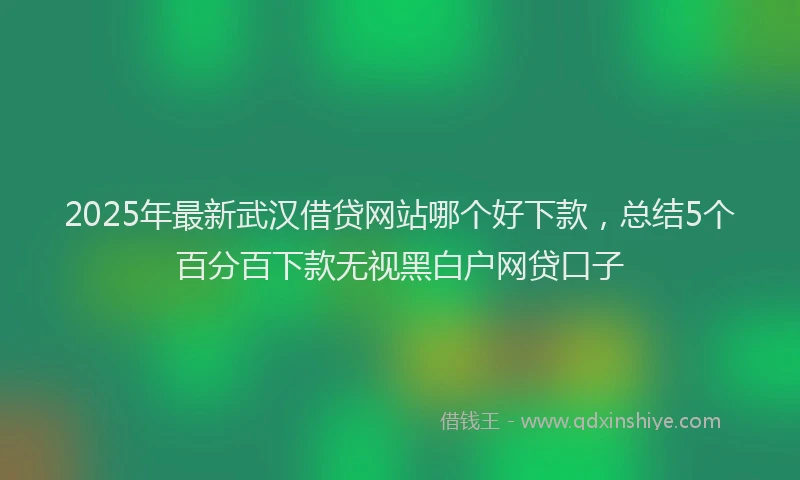 2025年最新武汉借贷网站哪个好下款，总结5个百分百下款无视黑白户网贷口子
