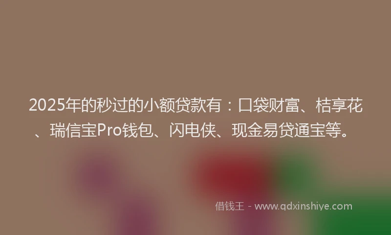 2025年的秒过的小额贷款有：口袋财富、桔享花、瑞信宝Pro钱包、闪电侠、现金易贷通宝等。