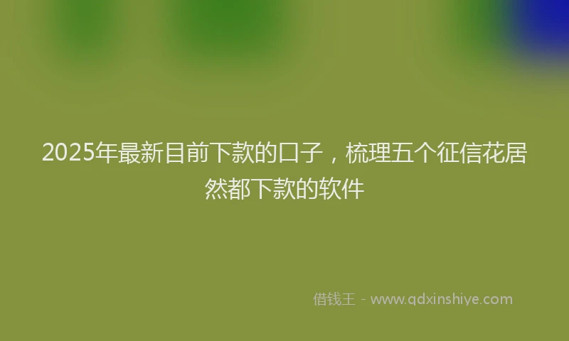 2025年最新目前下款的口子，梳理五个征信花居然都下款的软件