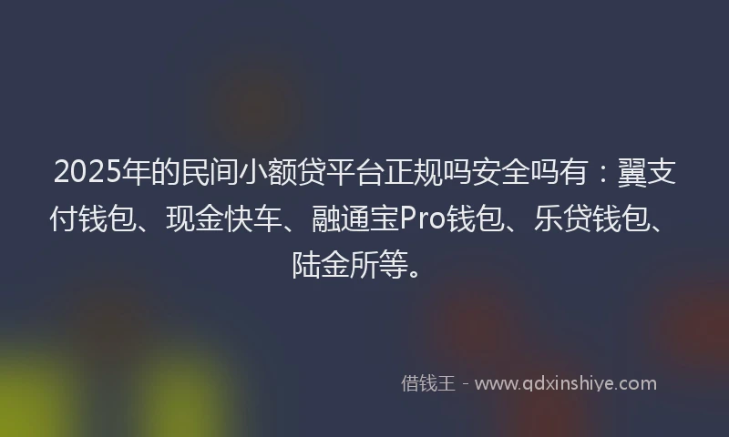 2025年的民间小额贷平台正规吗安全吗有：翼支付钱包、现金快车、融通宝Pro钱包、乐贷钱包、陆金所等。