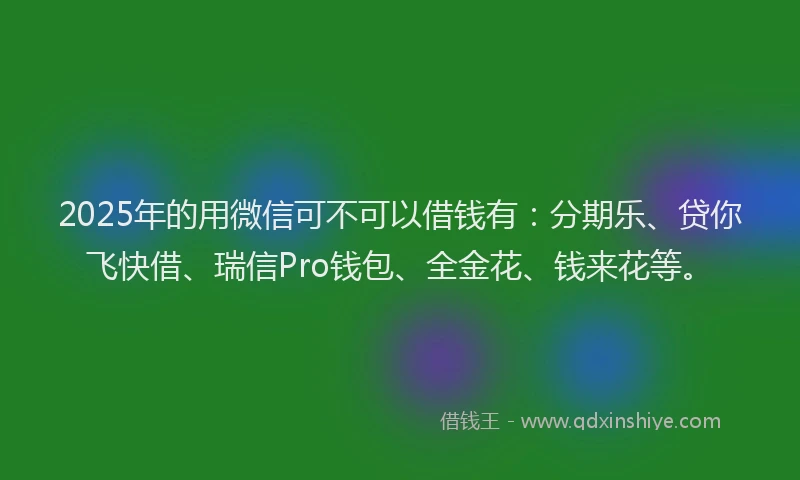 2025年的用微信可不可以借钱有：分期乐、贷你飞快借、瑞信Pro钱包、全金花、钱来花等。
