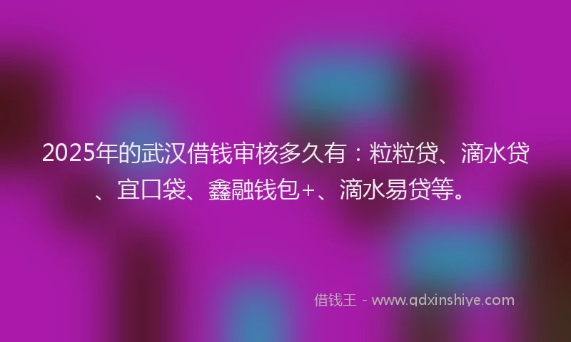 2025年的武汉借钱审核多久有：粒粒贷、滴水贷、宜口袋、鑫融钱包+、滴水易贷等。
