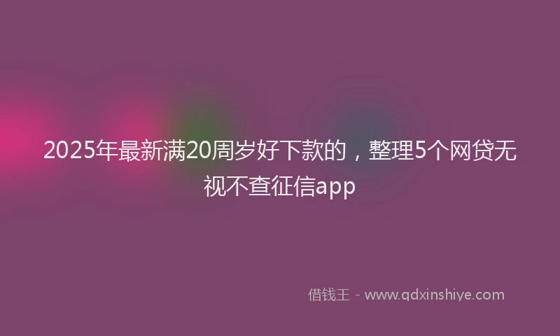 2025年最新满20周岁好下款的，整理5个网贷无视不查征信app