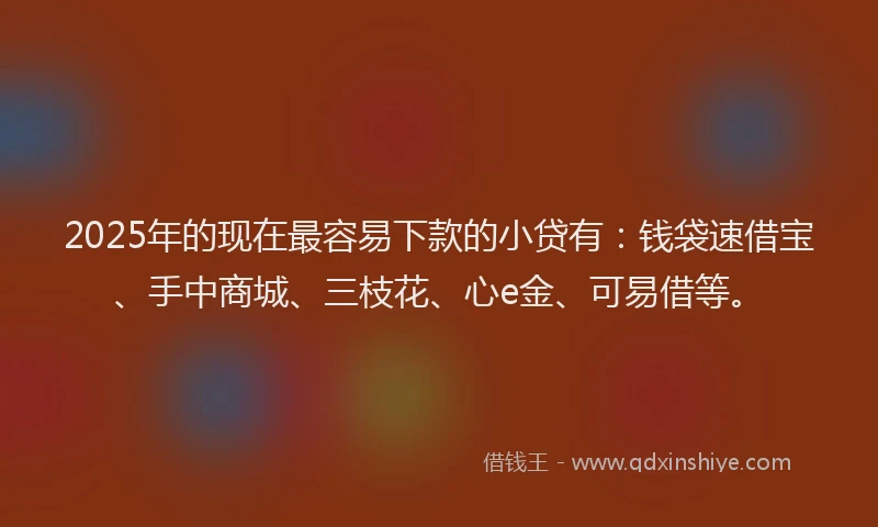 2025年的现在最容易下款的小贷有：钱袋速借宝、手中商城、三枝花、心e金、可易借等。
