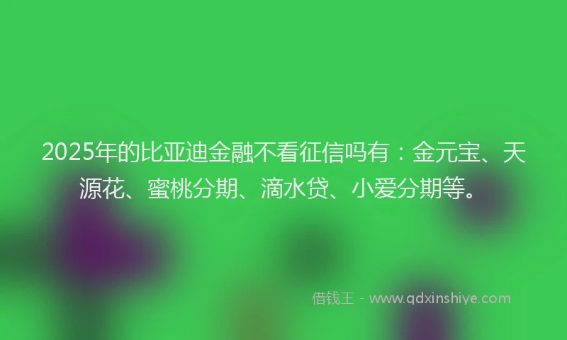 2025年的比亚迪金融不看征信吗有：金元宝、天源花、蜜桃分期、滴水贷、小爱分期等。
