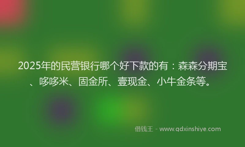 2025年的民营银行哪个好下款的有：森森分期宝、哆哆米、固金所、壹现金、小牛金条等。
