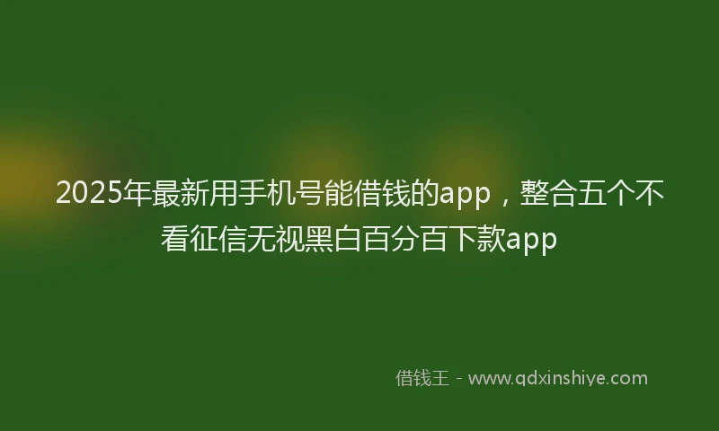 2025年最新用手机号能借钱的app，整合五个不看征信无视黑白百分百下款app