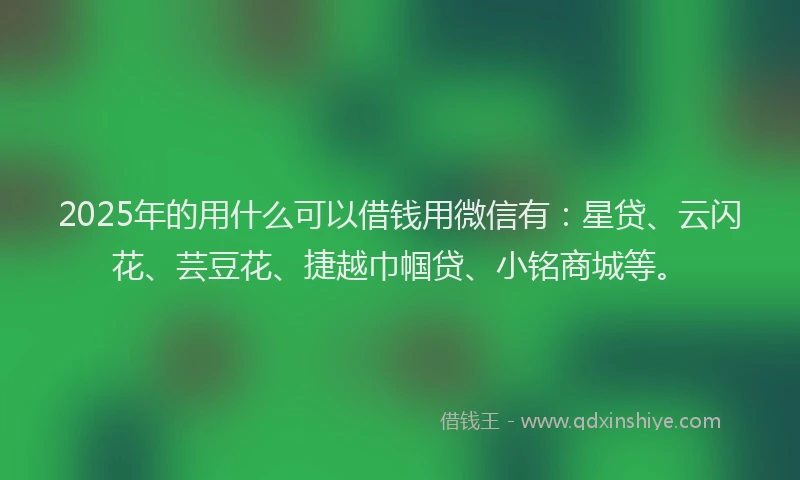 2025年的用什么可以借钱用微信有：星贷、云闪花、芸豆花、捷越巾帼贷、小铭商城等。