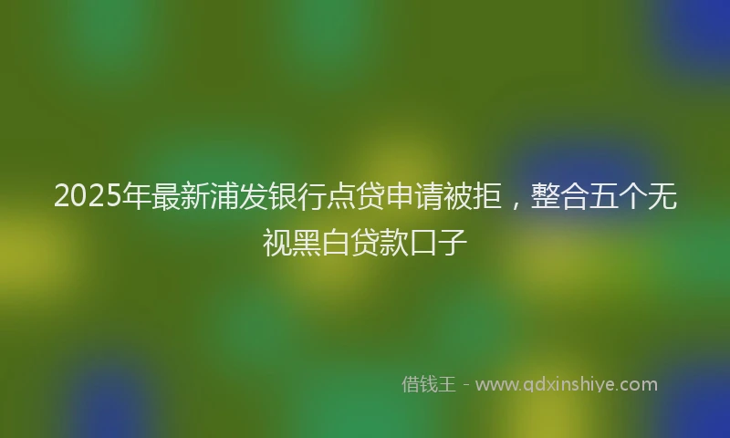2025年最新浦发银行点贷申请被拒，整合五个无视黑白贷款口子