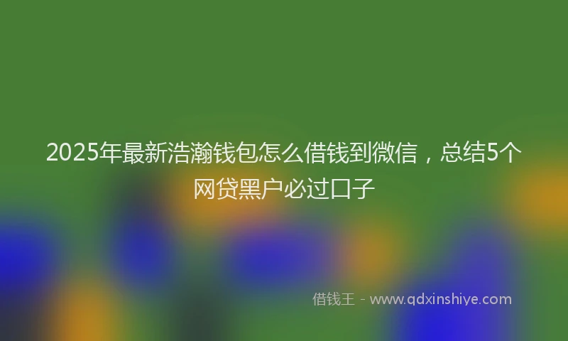 2025年最新浩瀚钱包怎么借钱到微信，总结5个网贷黑户必过口子