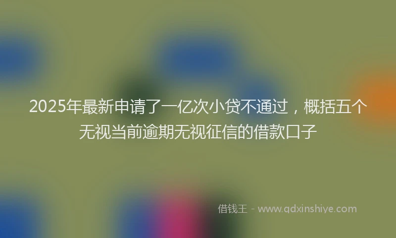 2025年最新申请了一亿次小贷不通过，概括五个无视当前逾期无视征信的借款口子