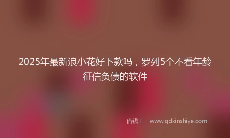 2025年最新浪小花好下款吗，罗列5个不看年龄征信负债的软件