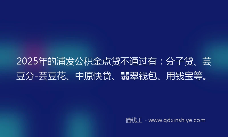 2025年的浦发公积金点贷不通过有：分子贷、芸豆分-芸豆花、中原快贷、翡翠钱包、用钱宝等。
