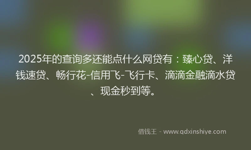 2025年的查询多还能点什么网贷有：臻心贷、洋钱速贷、畅行花-信用飞-飞行卡、滴滴金融滴水贷、现金秒到等。