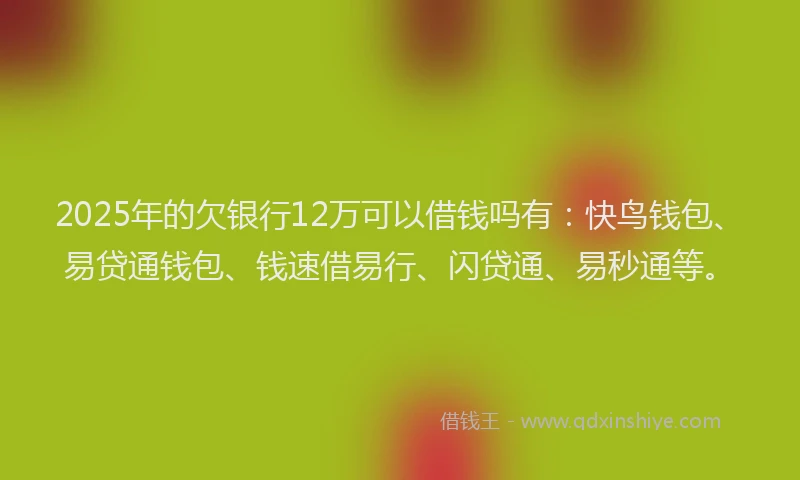 2025年的欠银行12万可以借钱吗有：快鸟钱包、易贷通钱包、钱速借易行、闪贷通、易秒通等。