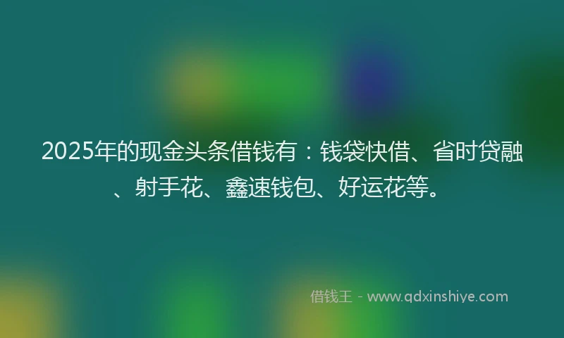 2025年的现金头条借钱有：钱袋快借、省时贷融、射手花、鑫速钱包、好运花等。