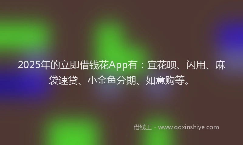 2025年的立即借钱花App有：宜花呗、闪用、麻袋速贷、小金鱼分期、如意购等。