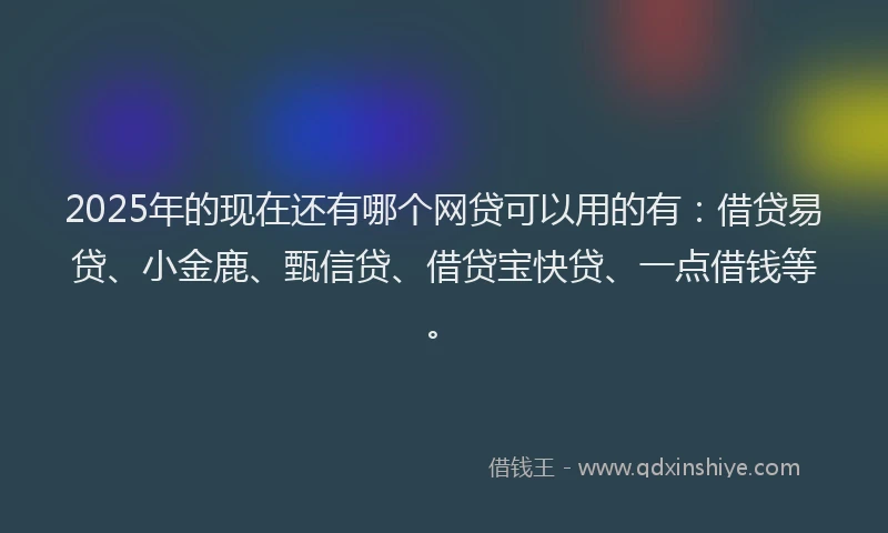 2025年的现在还有哪个网贷可以用的有：借贷易贷、小金鹿、甄信贷、借贷宝快贷、一点借钱等。