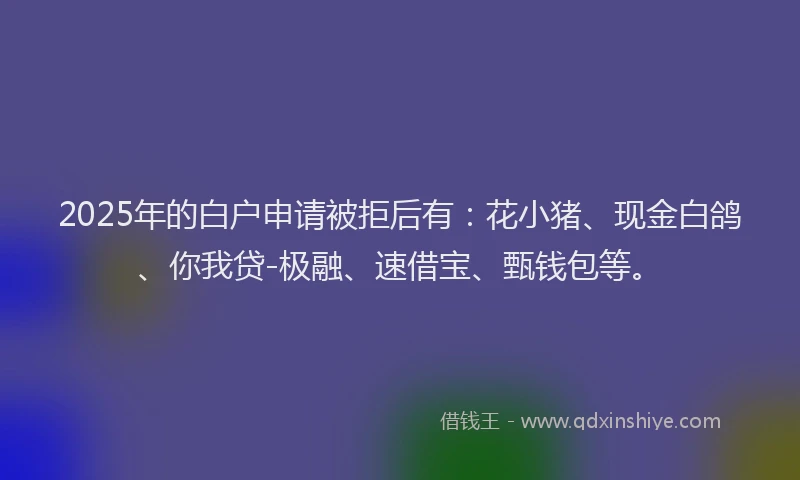 2025年的白户申请被拒后有：花小猪、现金白鸽、你我贷-极融、速借宝、甄钱包等。