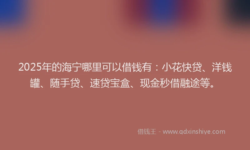 2025年的海宁哪里可以借钱有：小花快贷、洋钱罐、随手贷、速贷宝盒、现金秒借融途等。