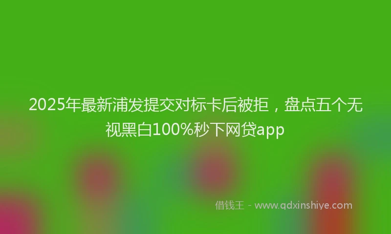 2025年最新浦发提交对标卡后被拒，盘点五个无视黑白100%秒下网贷app