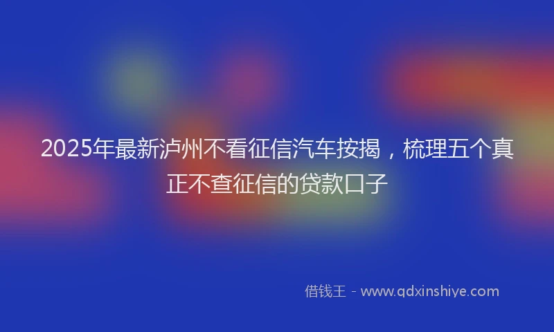 2025年最新泸州不看征信汽车按揭，梳理五个真正不查征信的贷款口子