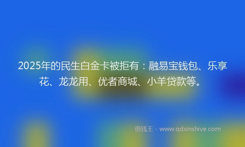 2025年的民生白金卡被拒有：融易宝钱包、乐享花、龙龙用、优者商城、小羊贷款等。
