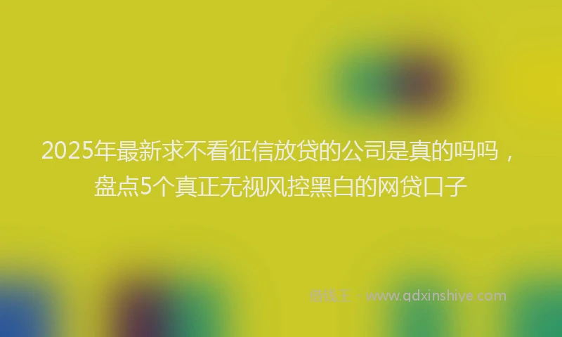 2025年最新求不看征信放贷的公司是真的吗吗，盘点5个真正无视风控黑白的网贷口子
