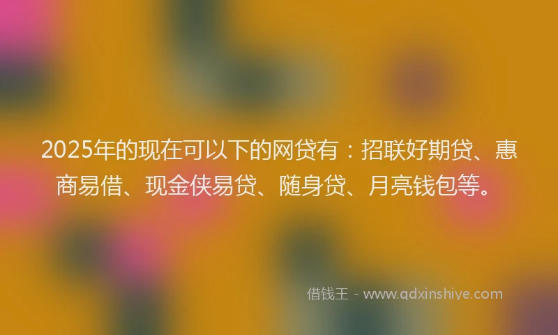 2025年的现在可以下的网贷有：招联好期贷、惠商易借、现金侠易贷、随身贷、月亮钱包等。