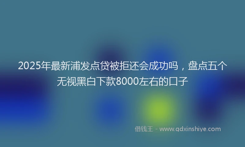 2025年最新浦发点贷被拒还会成功吗，盘点五个无视黑白下款8000左右的口子