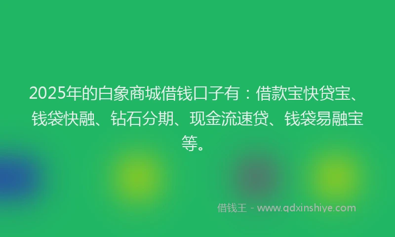 2025年的白象商城借钱口子有：借款宝快贷宝、钱袋快融、钻石分期、现金流速贷、钱袋易融宝等。