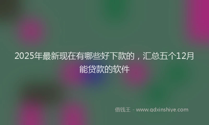 2025年最新现在有哪些好下款的，汇总五个12月能贷款的软件