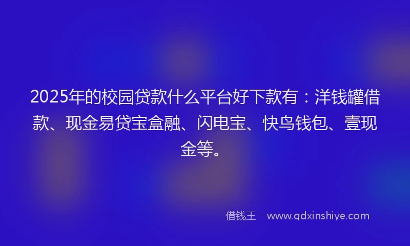 2025年的校园贷款什么平台好下款有：洋钱罐借款、现金易贷宝盒融、闪电宝、快鸟钱包、壹现金等。