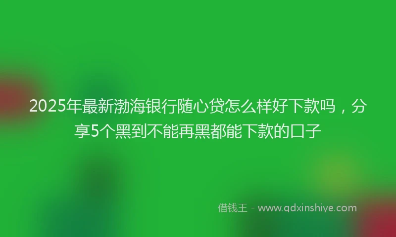 2025年最新渤海银行随心贷怎么样好下款吗，分享5个黑到不能再黑都能下款的口子